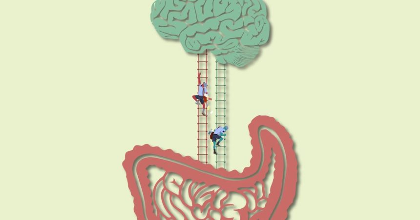 mind gut connection